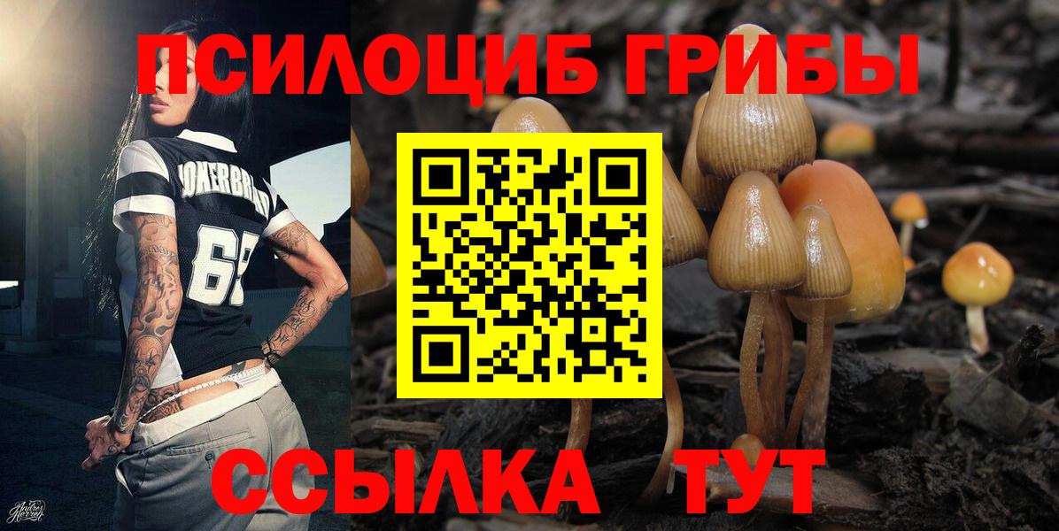 Галлюциногенные грибы GOLDEN TEACHER  Вход с VPN  Анжеро-Судженск  Галлюциногенные грибы ЛСД 